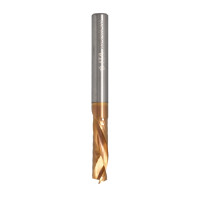 SL01. Фреза VHM Z1+1 D=06 I=22 L=60 S=6 RH позитив-негативI1=5 покриття TiSiN