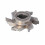 GKN.Фреза насадна для кромкоклеючого верстата D= 69 F= 16+2CH I= 10 R3 Z6 LH для Vitap Eclipse / RC